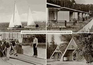 Senftenberg